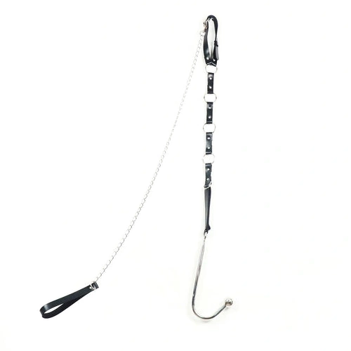 and Leash Hook with Anal EverydayUse 5853 Collar Kinky 0317